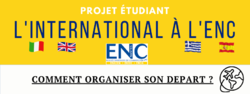 Miniature_Infographie_projet_SAM2022